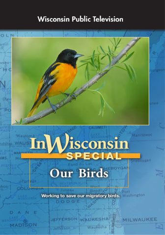 In Wisconsin: Our Birds